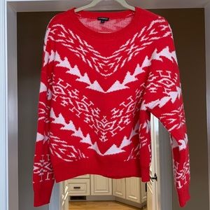 Express Ski Sweater
